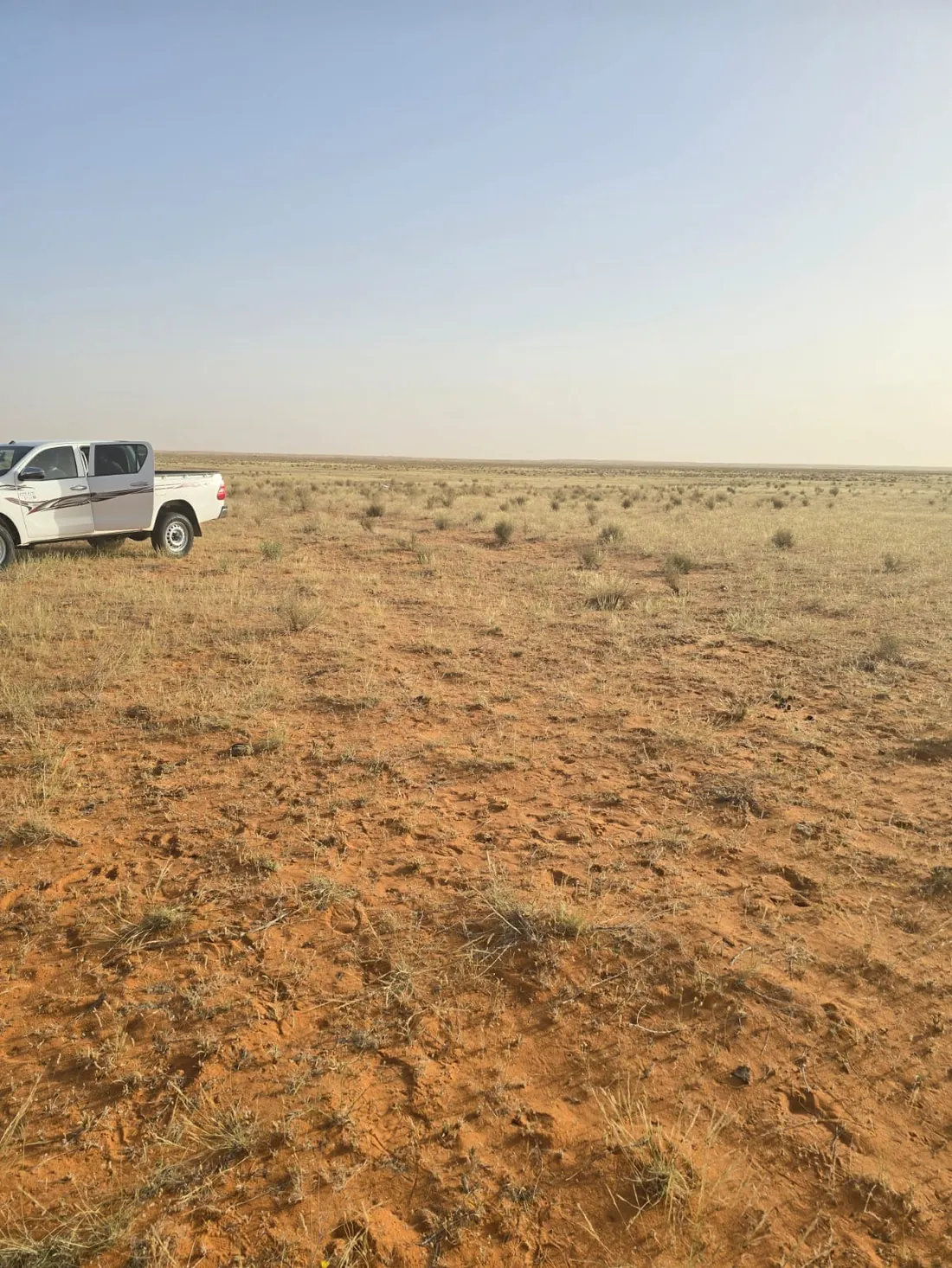 Site reconnaissance — Imam Turki reserve